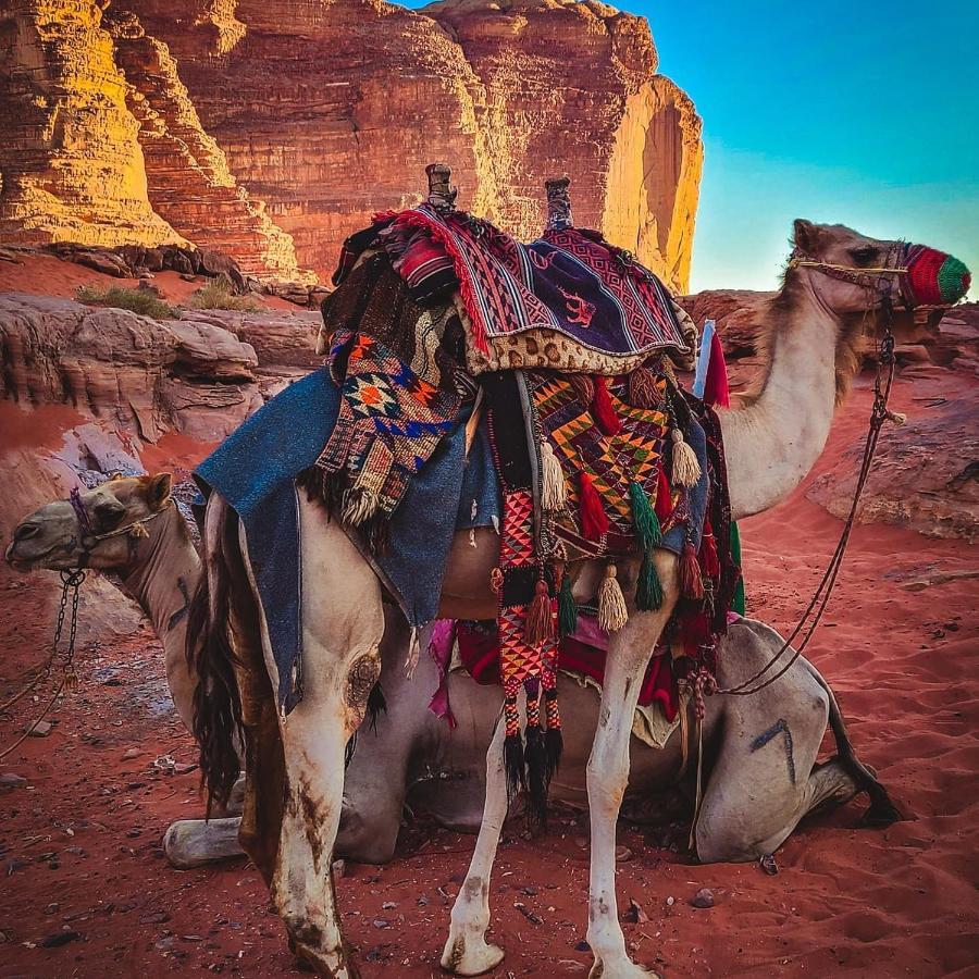 Wadi Rum Bedouin Time Экстерьер фото